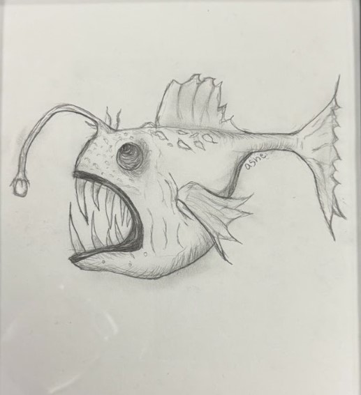 ANGLER FISH